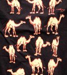 חולצות תיירות מודפסות